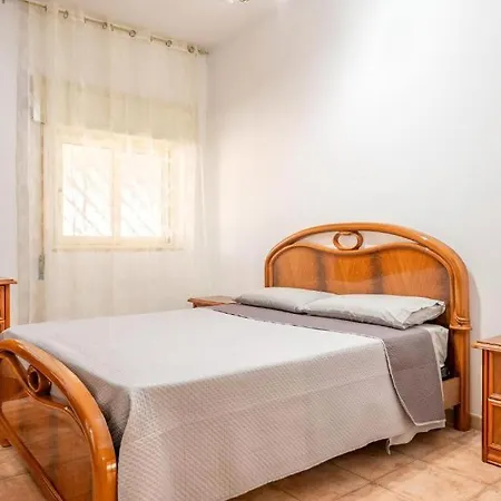 Il Canto Della Cicala *