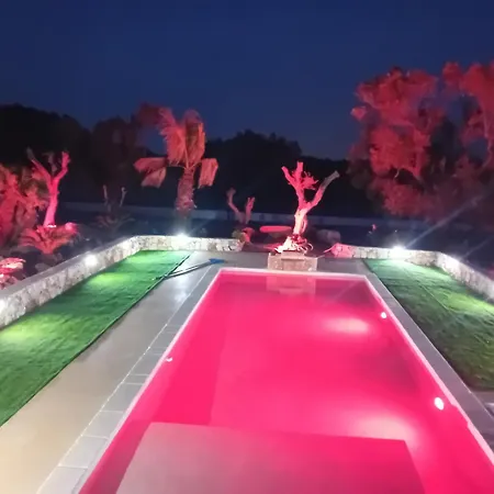 Il Canto Della Cicala